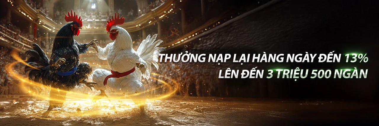 Đá Gà Z88 - Sân Đấu Trực Tuyến Hàng Đầu